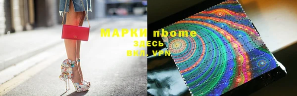 винт Няндома