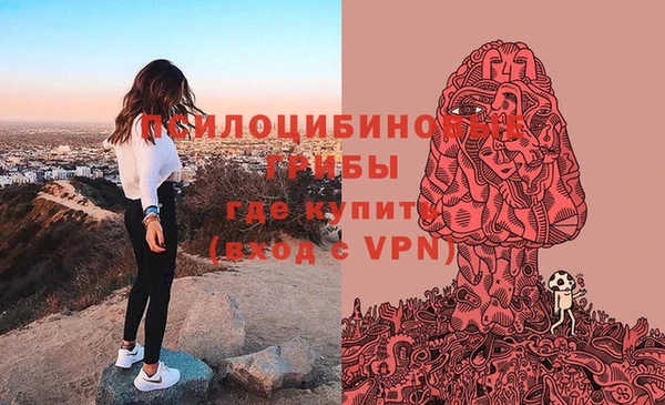 спайс Балахна