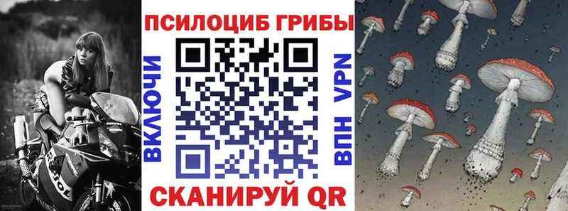 Псилоцибиновые грибы MAGIC MUSHROOMS  Черняховск 